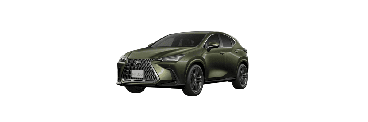 +NX 350 CC Excellence